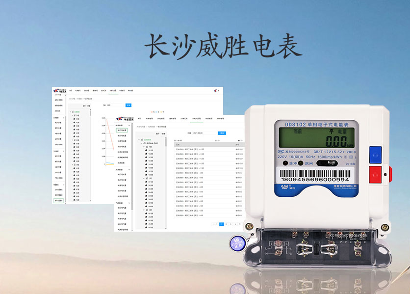 長沙威勝電表怎么看度數？—老王說表